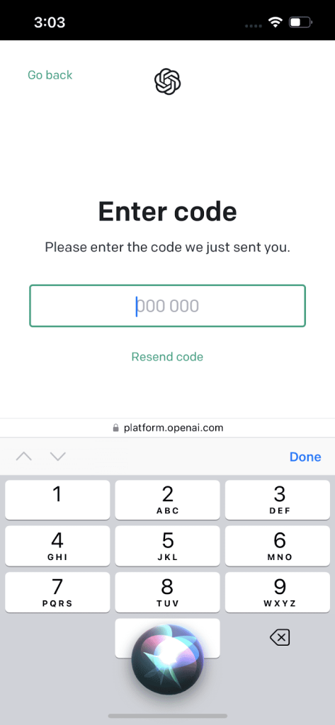 Enter the verification code in the blank space