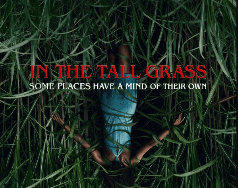 In The Tall Grass(2019)