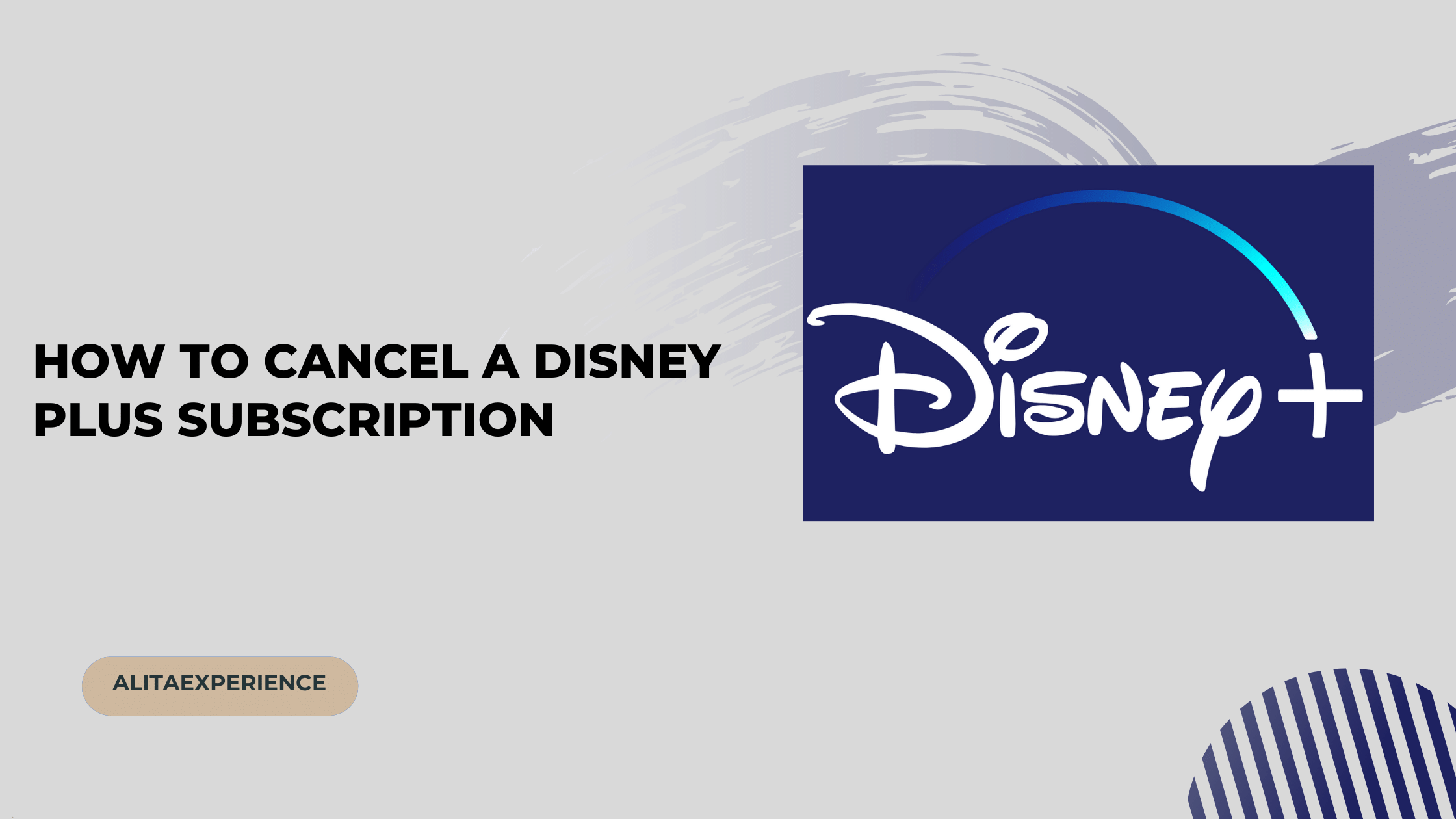 How To Cancel Disney Plus Subscription On Roku, Amazon & More