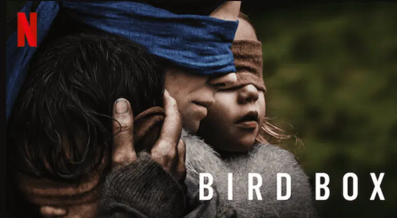 Bird Box(2018)
